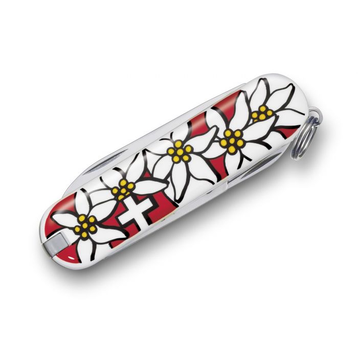 COUTEAU À HUITRES VICTORINOX - Edelweiss