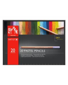 Caran d'Ache Set of 20 Pastel Pencils 