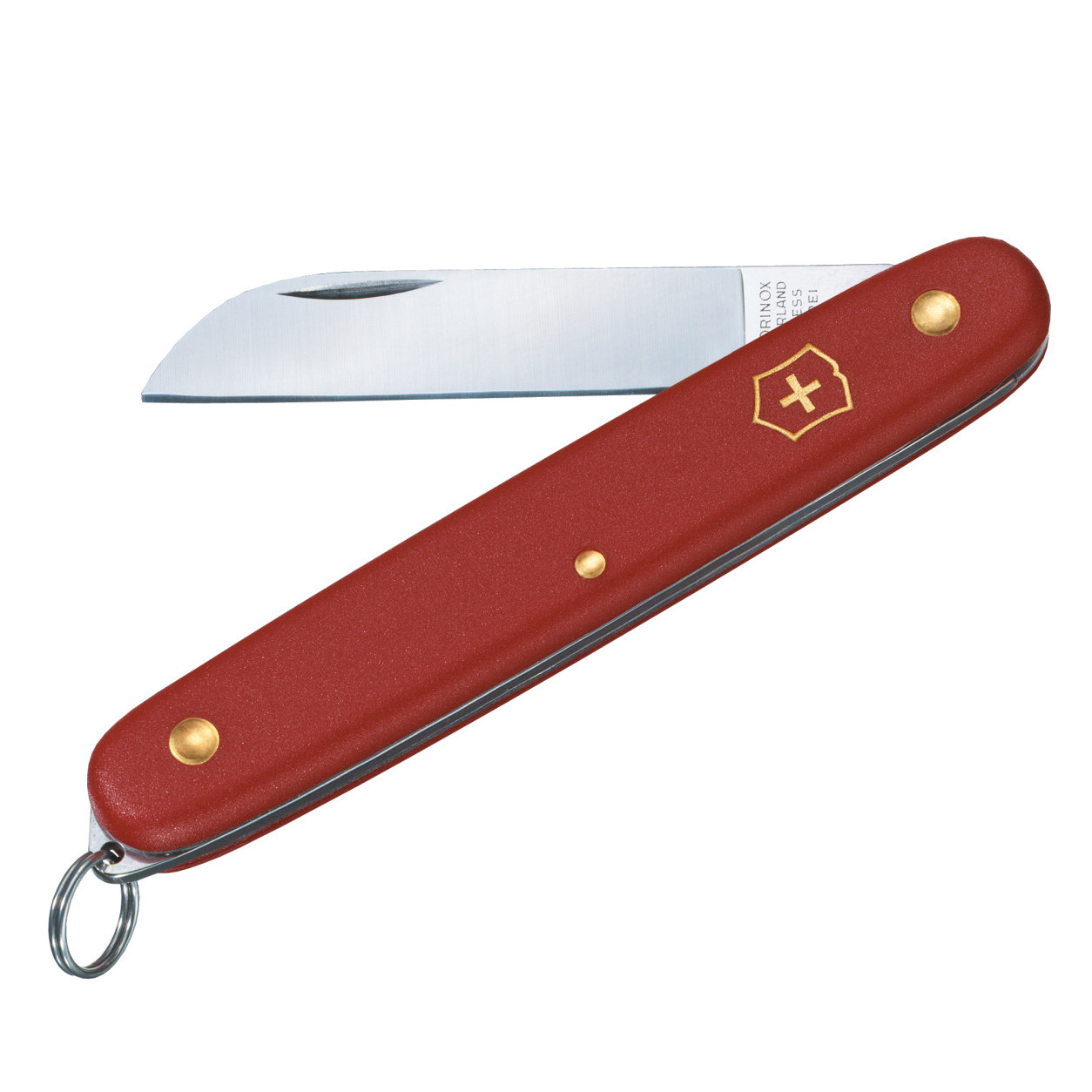 victorinox-graft-ecoline-3.9051.jpg